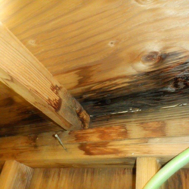 Picture of water damage from roof leak
